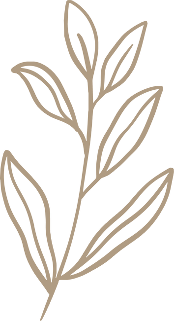 Plant Branch Illustration 